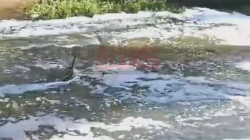 “Sumamente preocupante”: piden que DGA y Esval aclare posible contaminación del estero Marga Marga