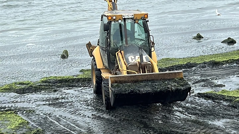 Vecinos de Fátima en Ancud logran limpiar playa con maquinarias