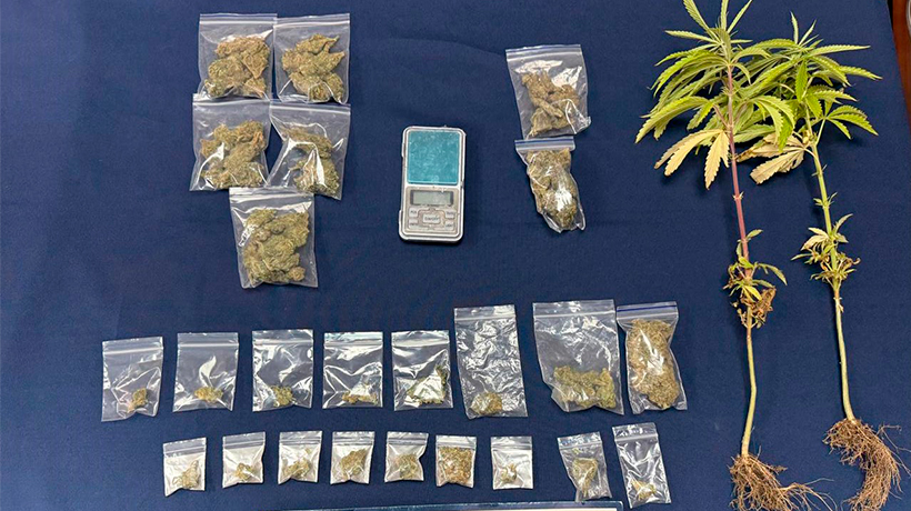 Dos garzones detenidos por microtráfico en Zapallar: uno es menor de edad