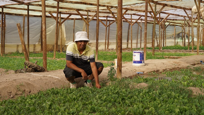Minera El Abra reúne a productores en primera versión de feria agropecuaria “Productos del Desierto” Minera El Abra reúne a productores en primera versión de feria agropecuaria “Productos del Desierto”