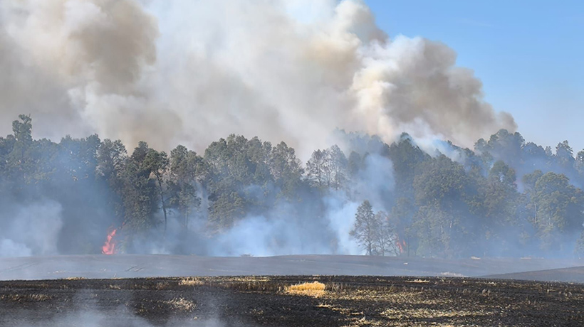 Declaran alerta amarilla por incendio forestal en San Pablo