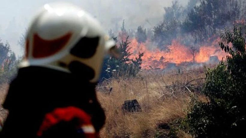 7 incendios forestales continúan activos en La Araucanía: mantienen toque de queda en 3 comunas