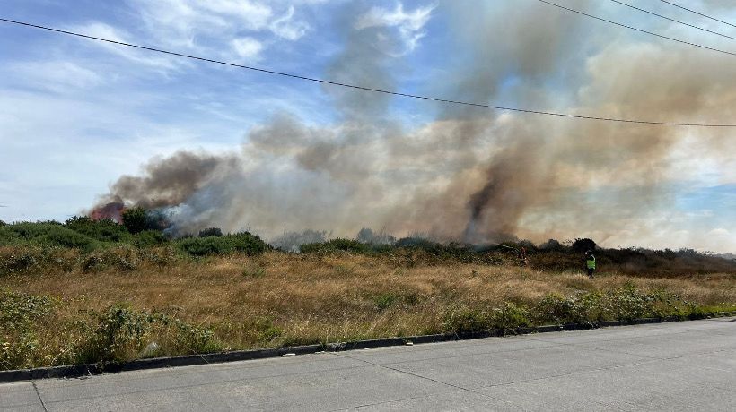 Incendio forestal afectó a sector de Alerce