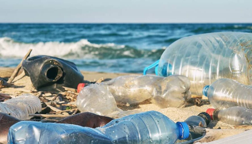 Startup chilena busca reducir el uso de botellas plásticas desechables y expandir su modelo de suscripción Startup chilena busca reducir el uso de botellas plásticas desechables y expandir su modelo de suscripción