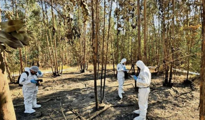 La Araucanía: Vecinos despiden a brigadista mientras gremios exigen investigar incendios provocados