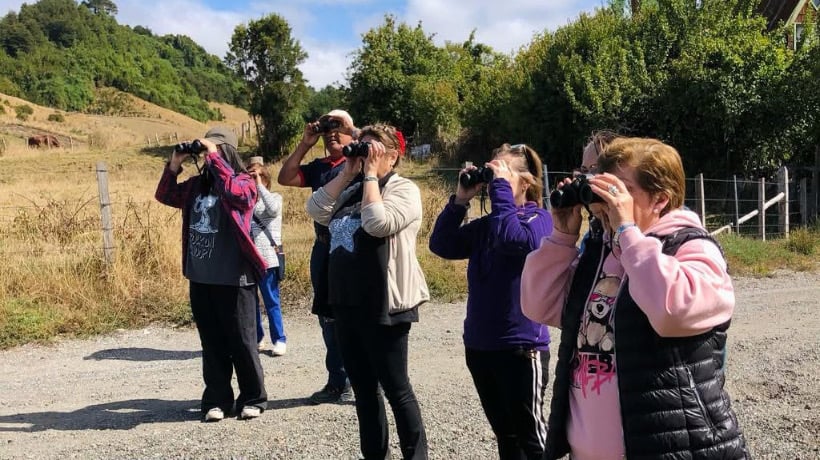 Exitosa jornada de observación de aves en Dalcahue