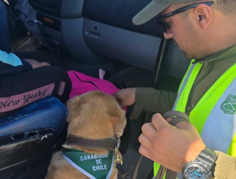 Sorprenden a dos pasajeras con más de diez kilos de droga en sus equipajes en Colchane