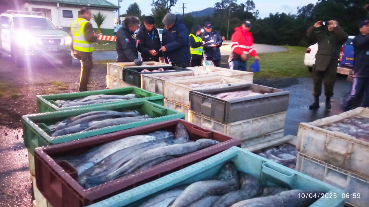 La Unión: incautan cerca de 2.500 kilos de pescados sin acreditar origen legal