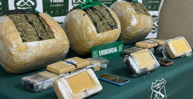 Decomisan más de 24 kilos de drogas en bus interprovincial en Nogales
