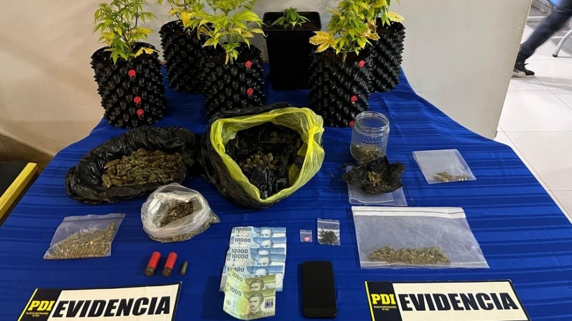 Desarticulan red de delivery de droga en Ancud
