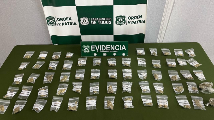 Cabrero: operativos antidrogas en la Ruta 5 Sur dejaron dos detenidos y tres kilos de sustancias decomisadas