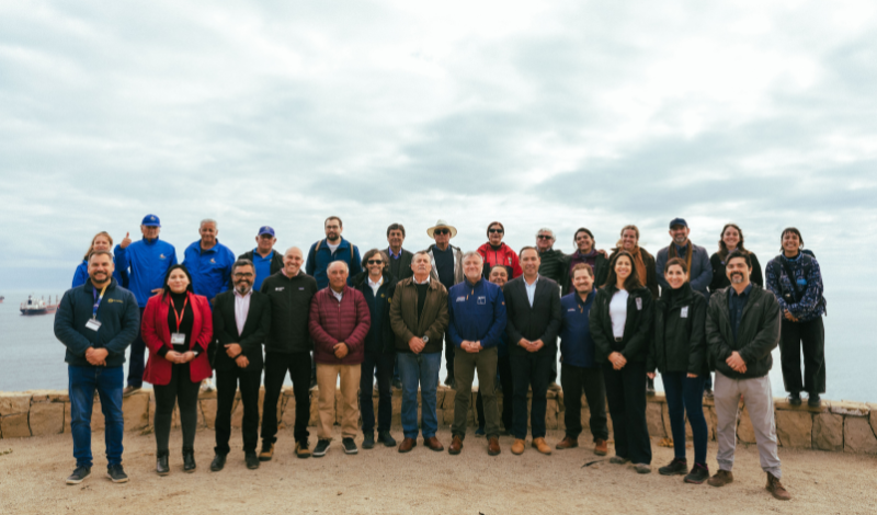 Lanzan innovador programa para la conservación marina en Puchuncaví