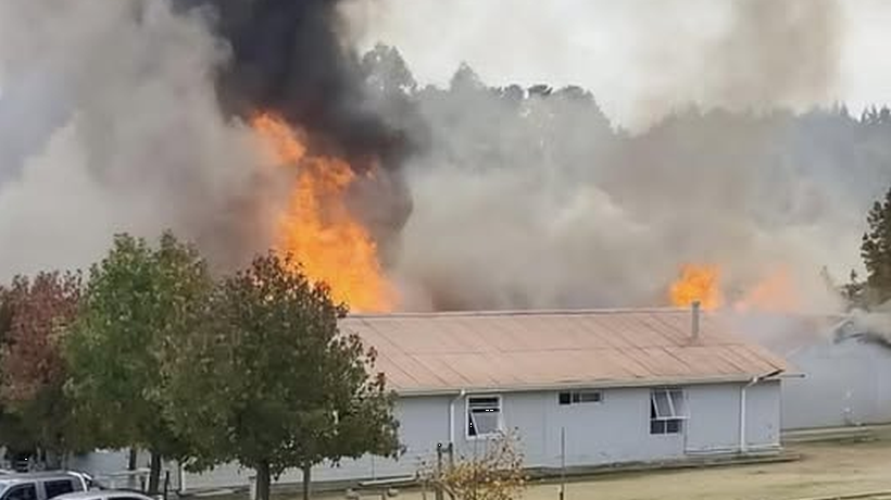 Incendio afectó a base forestal en Tomé