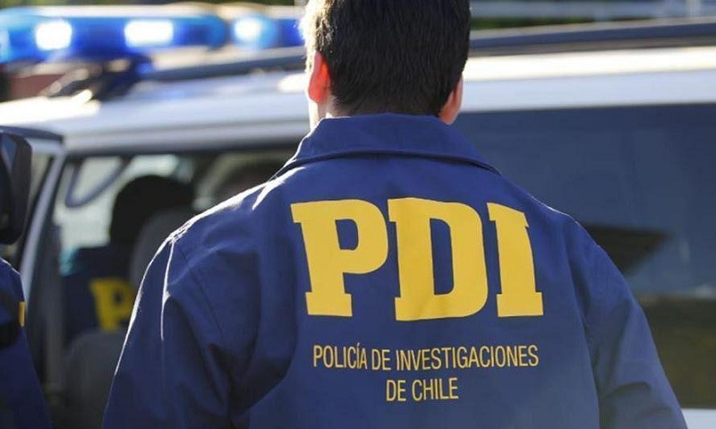 Investigan ataque a lobos marinos en Costanera de Valdivia