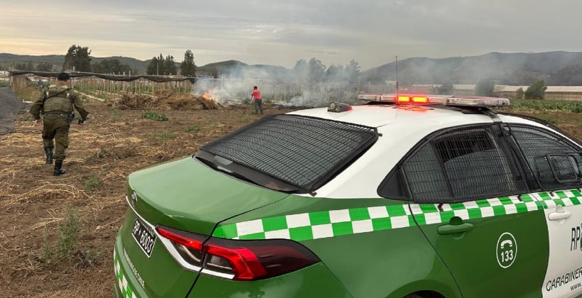 Un sujeto detenido en Limache por realizar quema agrícola no autorizada