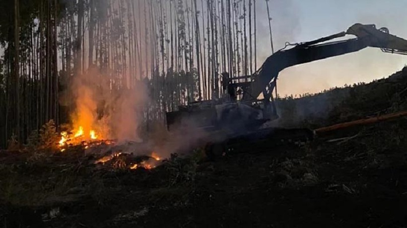 Ocho vehículos fueron quemados en un atentado ocurrido en Los Sauces.