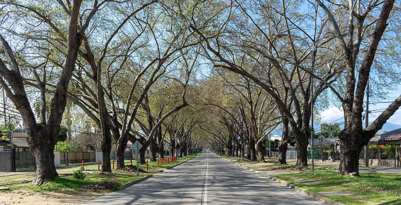 Corte Suprema acoge reclamo de Gastón Soublette y frena proyecto inmobiliario en Limache
