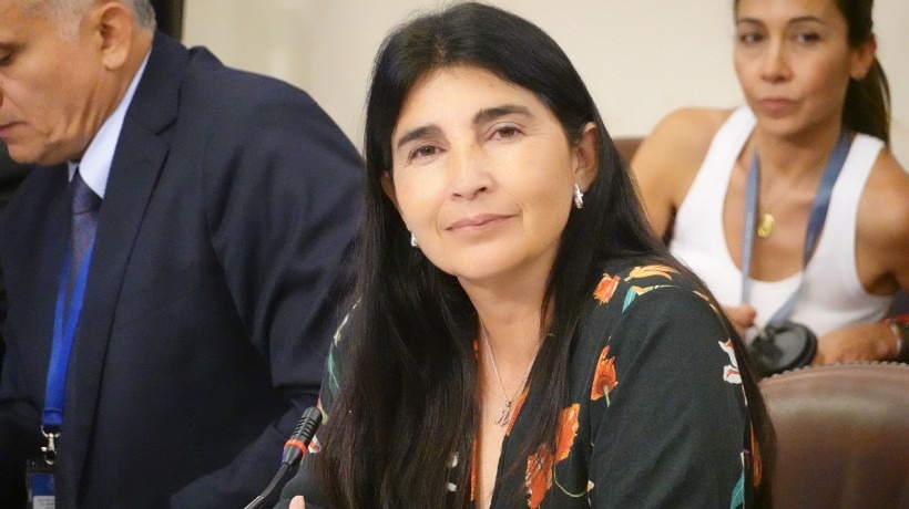 Crisis de seguridad: Diputada Ahumada pide a Gobierno que aborde situación con soluciones "concretas"