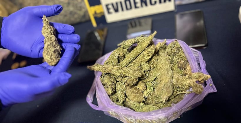 Papudo: pareja fue detenida con casi dos kilos de marihuana en su casa