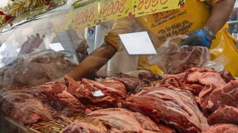 Ñuble: Producción de carne de ganado bovino se incrementó en 16,2 % interanualmente