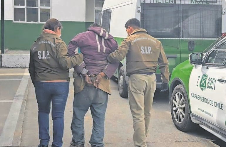 Detienen a sujeto por presunto maltrato animal y zoofilia en Atacama