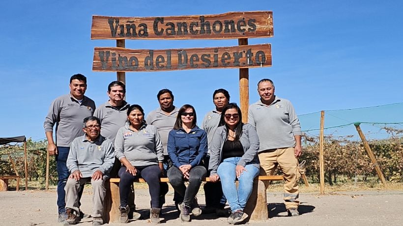 Entregan nuevas distinciones a Vino del Desierto: obtuvo una puntuación de 93 en cepa Tamarugal