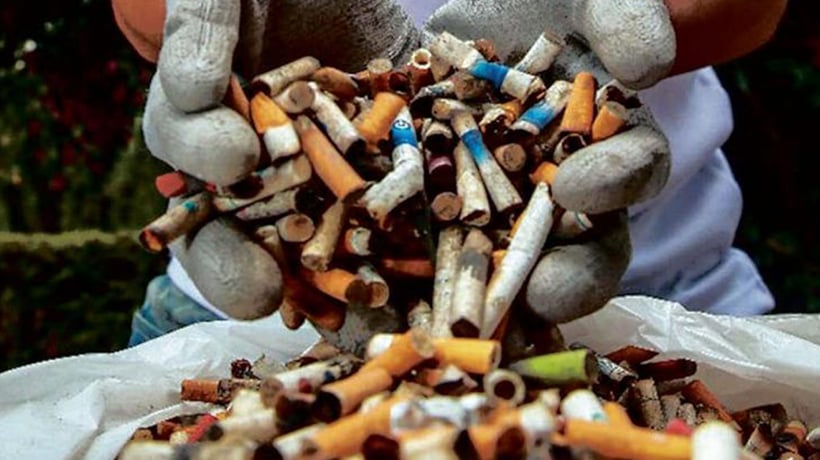 Campaña busca recolectar colillas de cigarro para transformarlas en plástico