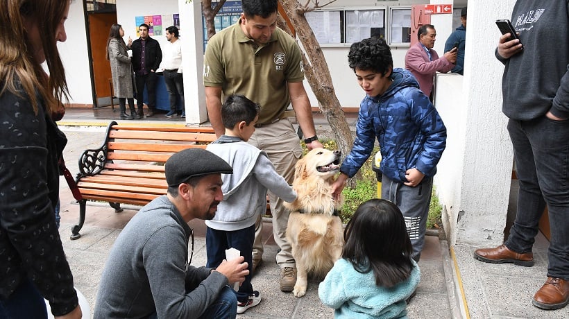 Día de los Patrimonios: Shrek presenta recurso de protección en la Corte de Copiapó para recuperar su pantano