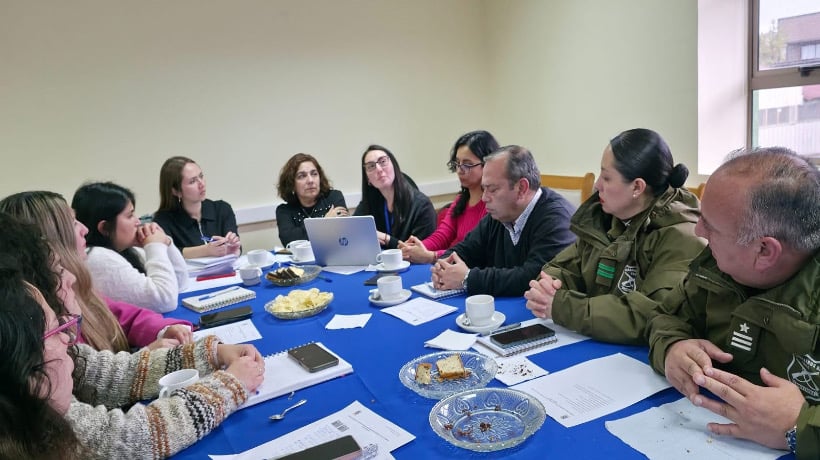 Dalcahue da un paso firme contra la violencia de género con la realización de la Primera Mesa Comunal de Prevención