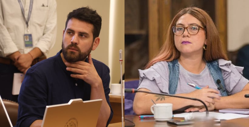 Diputados exigen investigar muerte de perros callejeros en Quillota y Limache