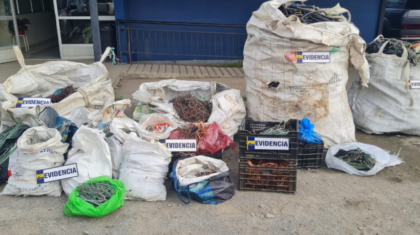 Encuentran más de un kilo de cables de cobre en un local de Talcahuano: encargada del negocio fue detenida