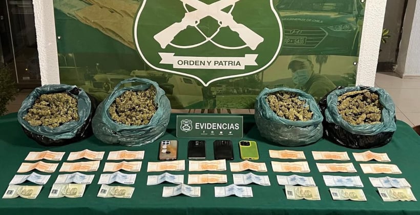La Ligua: “Kobbu”, el perro policial, permitió la detención de tres sujetos por tráfico de drogas