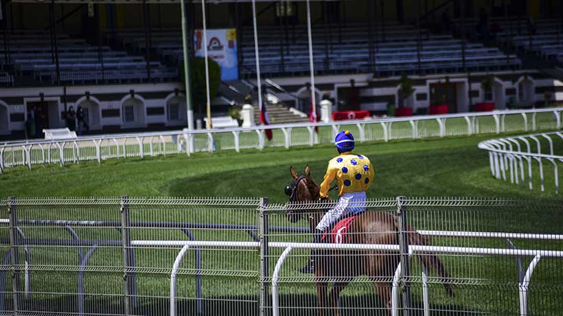 Tragedia en el Sporting de Viña: hombre muere tras impacto de caballo contra barrera