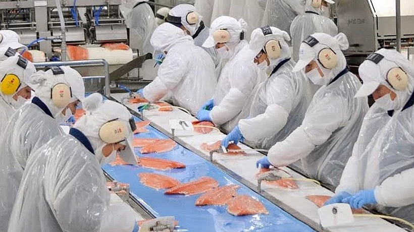 Desempleo subió a 5,5% en la Región de Los Lagos: sigue tendencia al alza