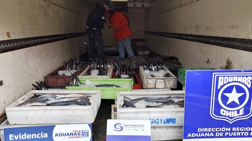 En Caleta Puelche de Hualaihué incautaron camión con 1,2 toneladas de recursos del mar