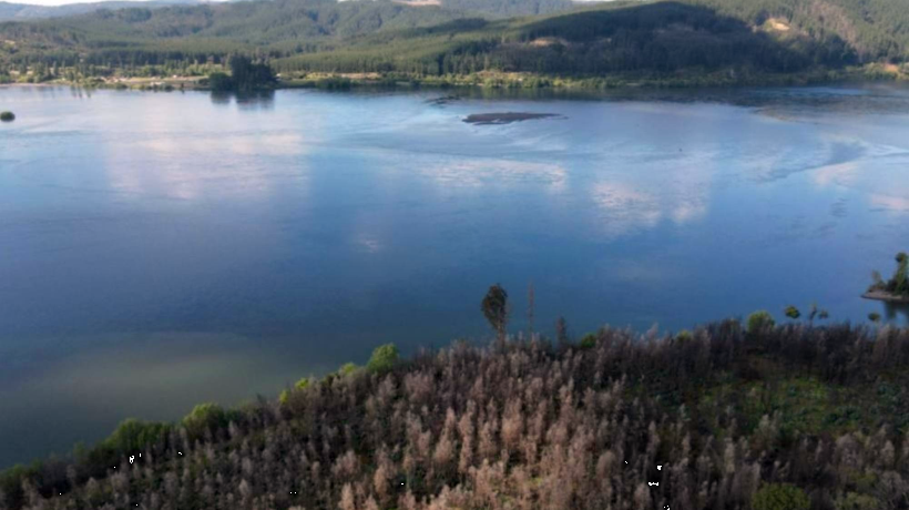 Prevén que el Puente Amdel sobre el Río Biobío será evaluado por el Servicio de Evaluación de Impacto Ambiental en septiembre