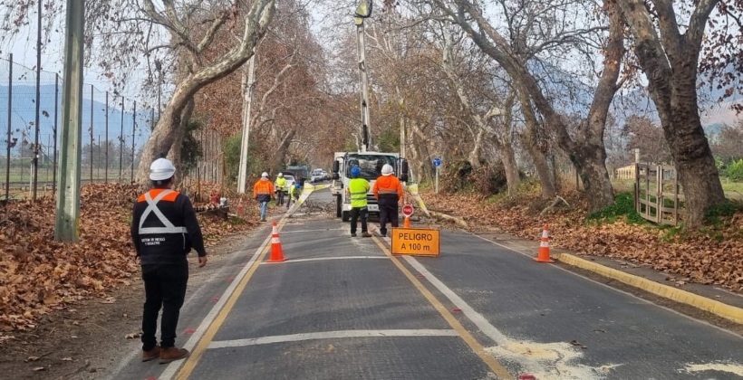 Hijuelas inició poda preventiva en la Alameda de Rabuco por Plan Invierno 2025