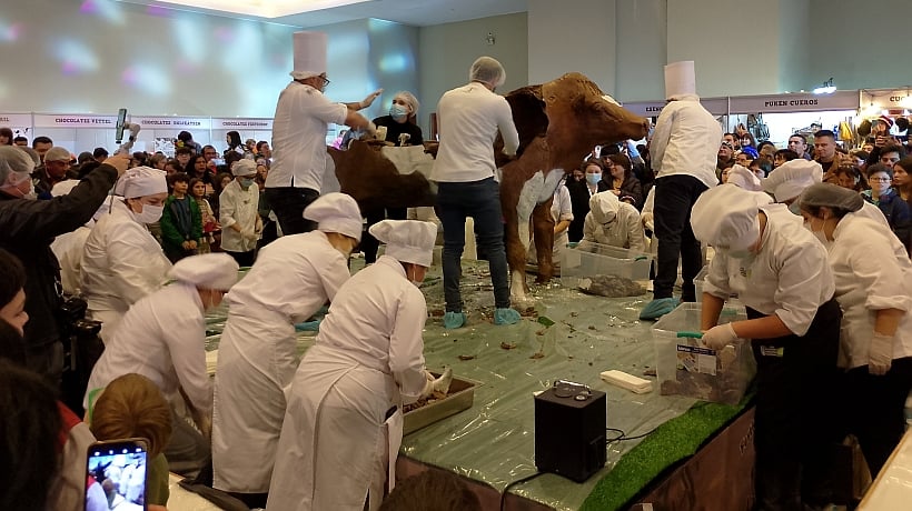 Nueva versión de la “vaca de chocolate” en Osorno tendrá una escultura de media tonelada