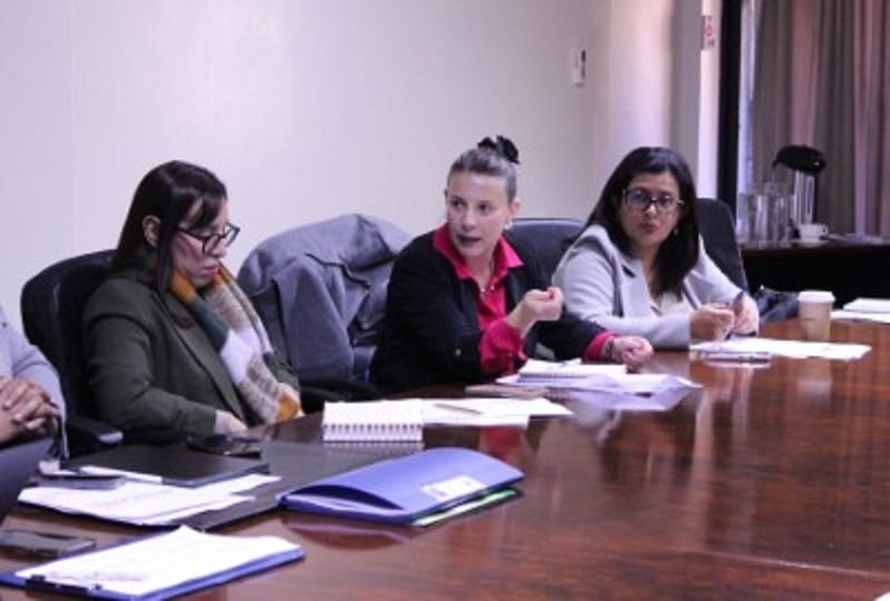 Primera reunión de la Mesa Regional de la Niñez y Mujeres Migrantes en Atacama