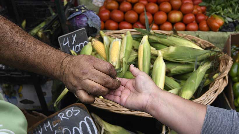 Municipio de Quintero retoma proyecto para nueva Feria Libre y de Las Pulgas en Loncura