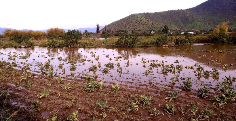 Agro en alerta: pronostican otoño-invierno con lluvias escasas y calor fuera de temporada