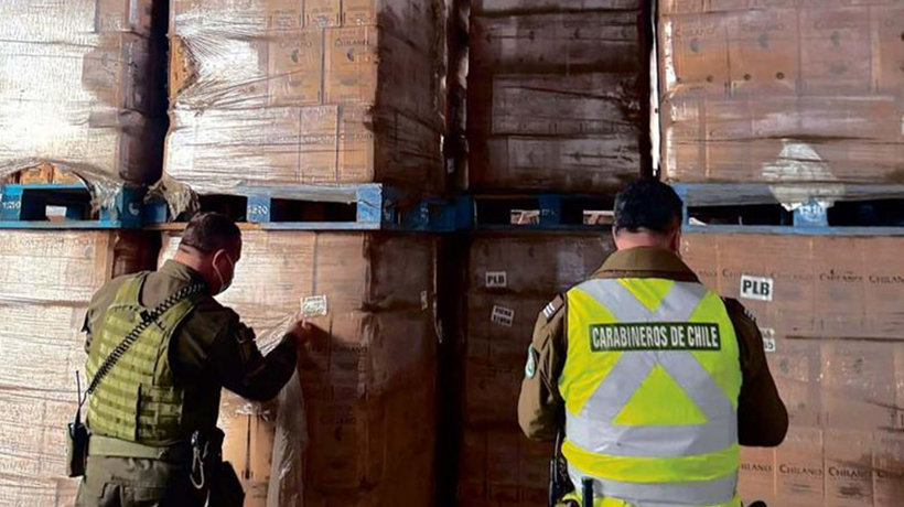Sin detenidos: desde local decomisaron más de 9 mil botellas de vino y licores