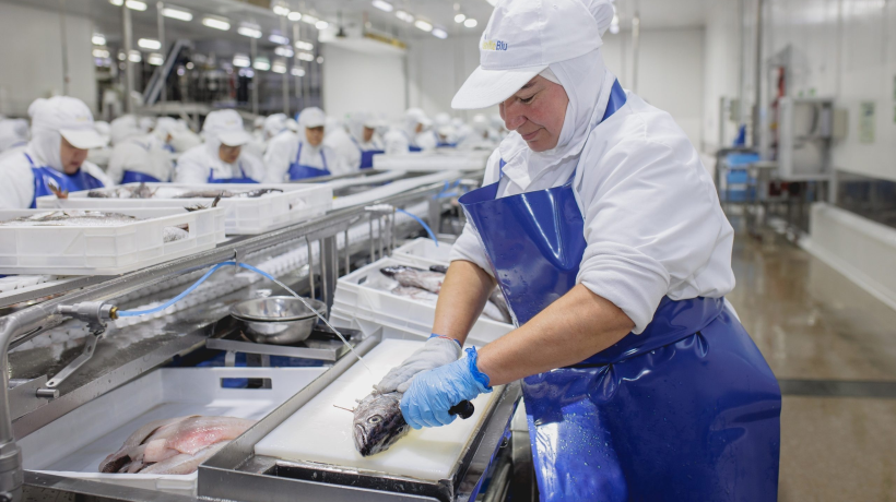 PacificBlu da pie atrás con cierre tras acuerdos de fraccionamiento