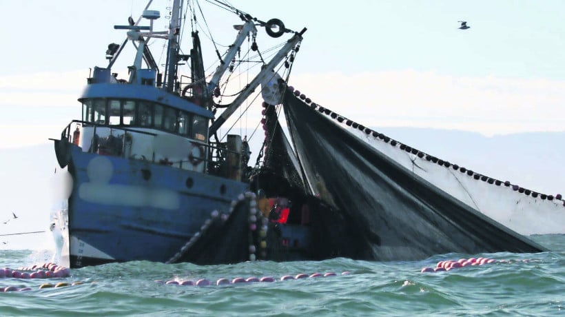 Suprema confirma sanción a pesquera por descarte de pesca en Antofagasta