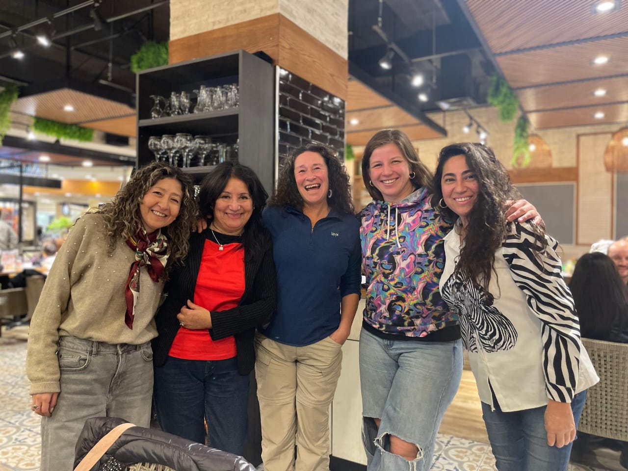 Valdivia: Cinco mujeres artistas se unieron para exhibir sus obras durante el año