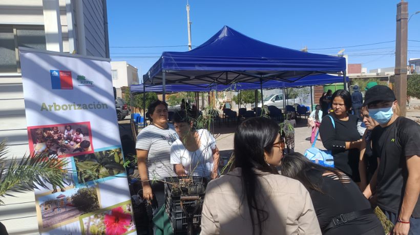 Realizaron arborización comunitaria en Pozo Almonte y entregaron 100 algarrobos