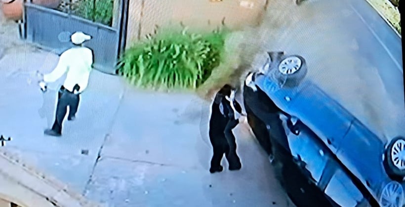 "Ni Neo se atrevió a tanto": captan a hombre que esquivó un auto en San Felipe