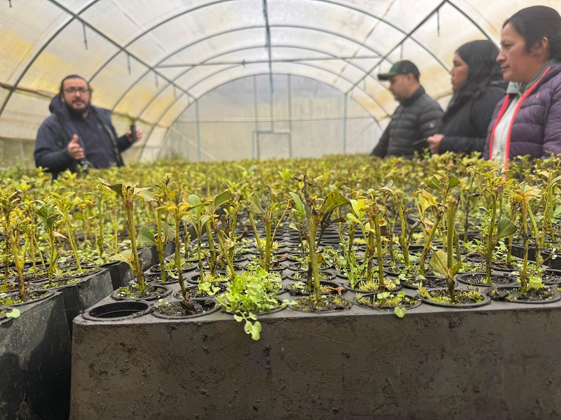 Conaf Los Ríos recibió donación de bioestimulante natural para fortalecer producción de plantas nativas