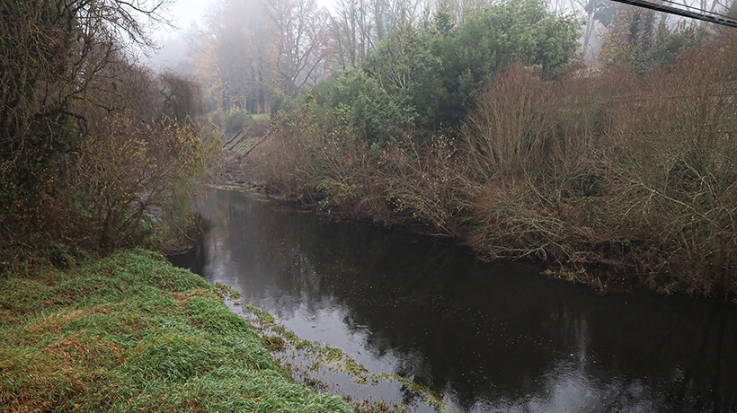 Osorno: el río Damas muestra altos índices de contaminación pese a su abundante caudal en invierno