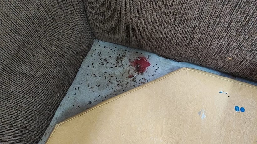 Jardín infantil de Castro suspende clases por invasión de roedores